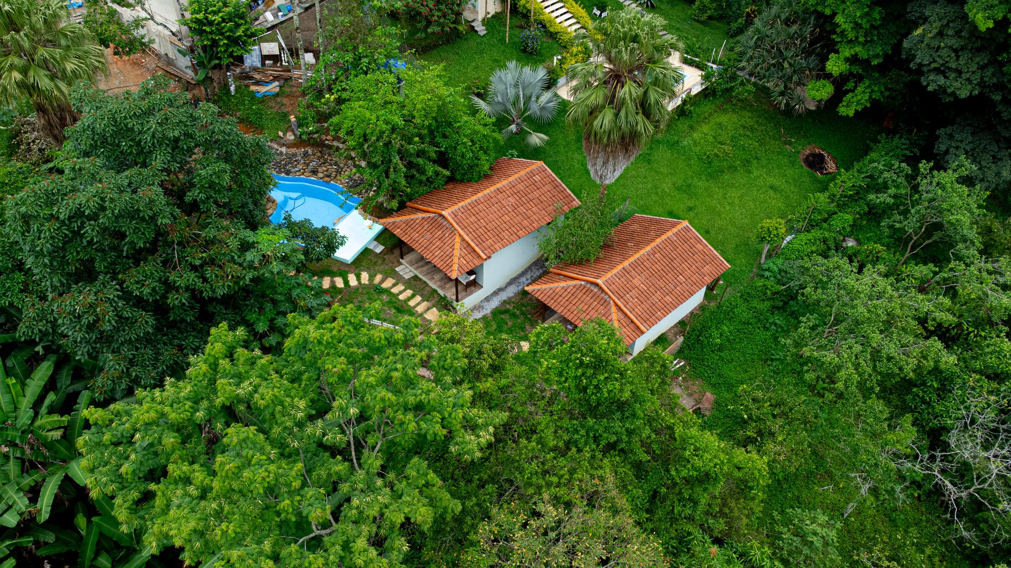 Observação de aves